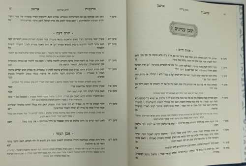 מרכבות ארגמן חלק י'