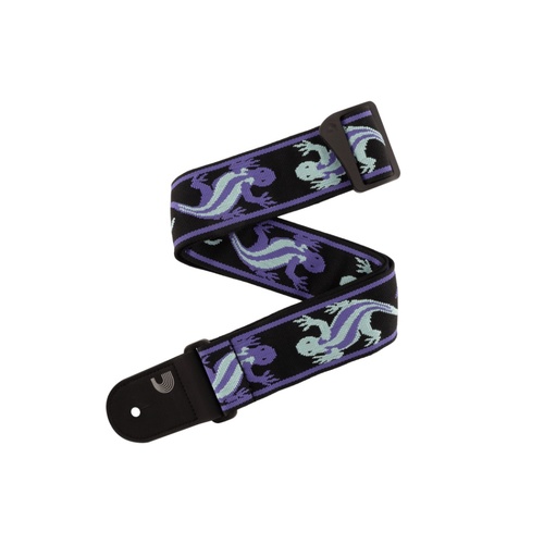 D'Addario Vintage Planet Waves Guitar Strap