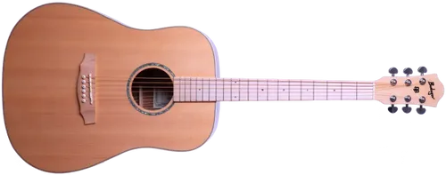 גיטרה אקוסטית Budagov Ditty Maple neck