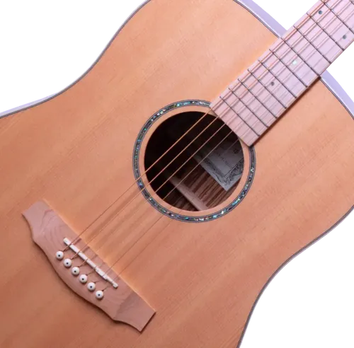 גיטרה אקוסטית Budagov Ditty Maple neck