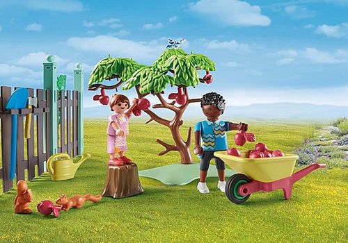 פליימוביל 71510 - חוות תרנגולות