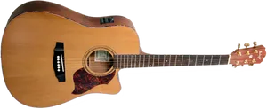 גיטרה אקוסטית מוגברת פישמן Budagov Fame EQ