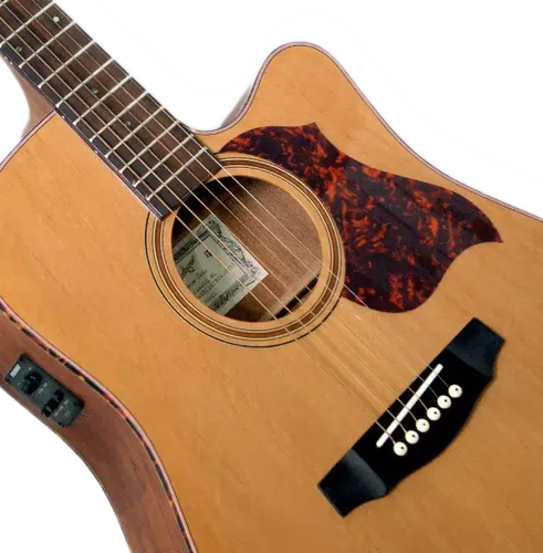 גיטרה אקוסטית מוגברת Budagov Fame EQ