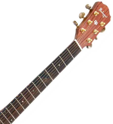 גיטרה אקוסטית מוגברת Budagov Fame EQ