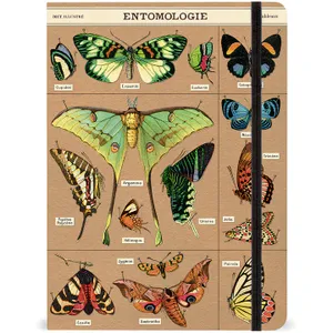 מחברת שורה - Enotomology Cavallini & Co