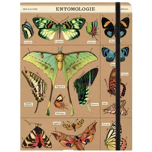 מחברת שורה - Enotomology