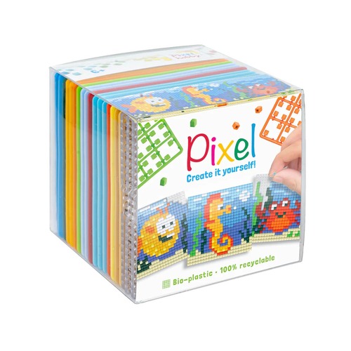 קיט חיות ים - 3 תבניות 6/6 ס