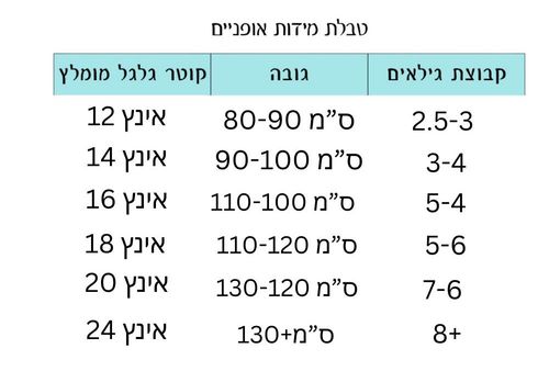 אופניים בעיצוב וינטג' לילדים ונוער עם סלסלה וגלגלי 