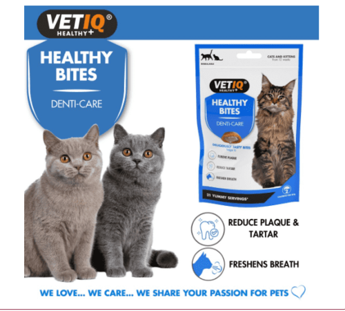 חטיף דנטלי לחתולים 65 גרם כחול – VETIQ | מולי חיות מחמד