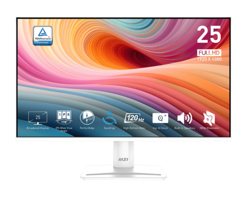 MP251 E2 MSI מסך לבן