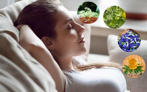 שקט פנימי ושינה עמוקה: הכירו את צמחי המרפא שישנו את חייכם