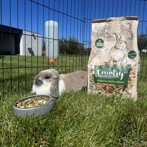 ויטה מולן תערובת מוזלי לארנבים – קאנטרי | WITTE MOLEN Country Muesli for Rabbits