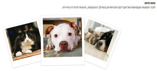 צילום חיות בשואב האבק שואב אבק רובוטי ROBOROCK SAROS 10R