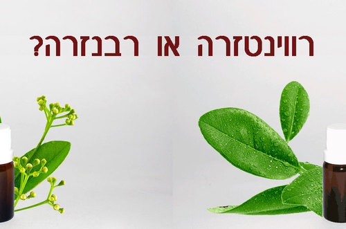 רבנזרה או רווינטזרה