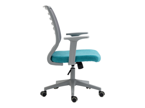 כיסא משרדי ד״ר גב COLUMBIA