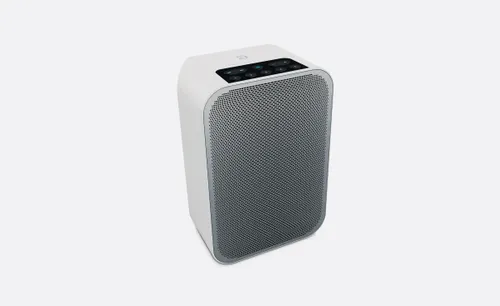 Bluesound PULSE FLEX 2I