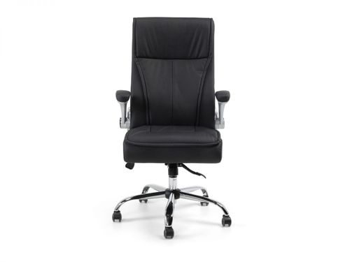 כיסא מנהלות ומנהלים ד״ר גב CAPTAIN