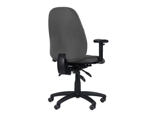 כיסא מחשב ד״ר גב ALFA PRO