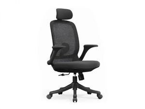 כיסא משרדי ד״ר גב COLLEGE XL