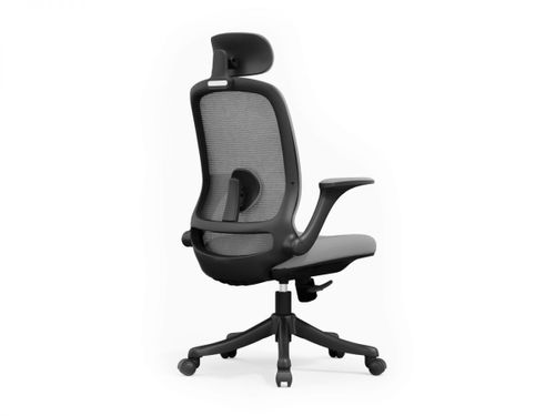 כיסא משרדי ד״ר גב COLLEGE XL