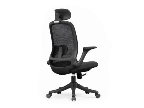 כיסא משרדי ד״ר גב COLLEGE XL