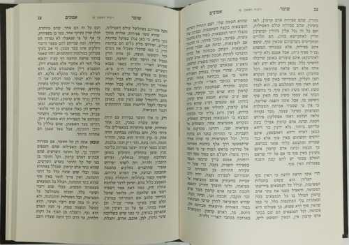שומר אמונים הקדמון - רב יוסף אירגאס