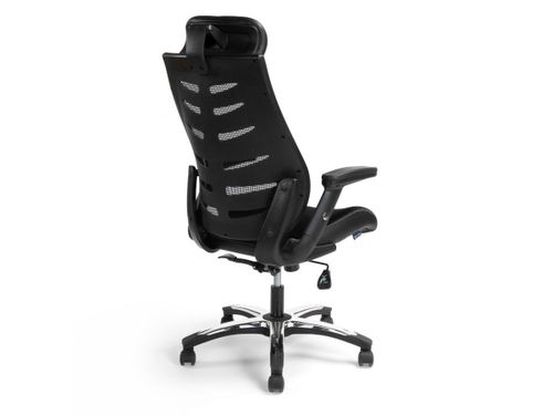 כסא מנהלים ומנהלות ד״ר גב CREATIVE PLUS להרכבה