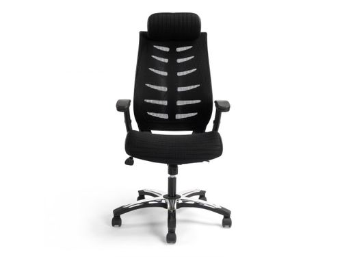 כסא מנהלים ומנהלות ד״ר גב CREATIVE PLUS להרכבה