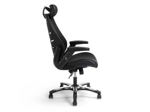 כסא מנהלים ומנהלות ד״ר גב CREATIVE PLUS להרכבה