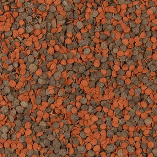 מזון ציקליד צ'יפס 5 ליטר Tropical Cichlid Chips