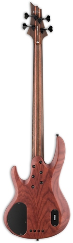 זוית נוספת ESP LTD B-1004SE