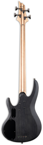 זוית נוספת ESP LTD B-204SM 