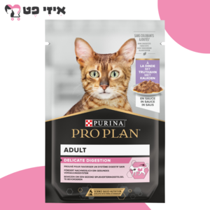 פאוץ