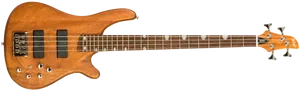 גיטרה בס בודגוב Budagov Mojo A+Bartolini