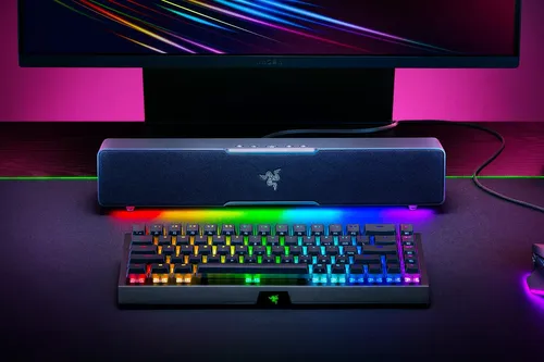 עכ אלח שחור RA DEATHADDER V3 PRO