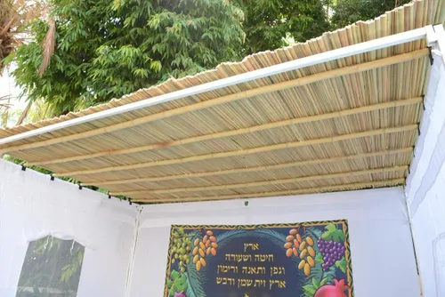סכך קני סוף- מגוון מידות 