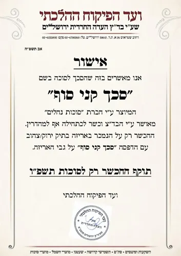 סכך קני סוף- מגוון מידות 