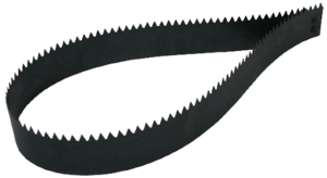 משור (מסור) טייחים ביצה