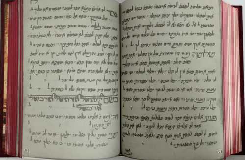 רב פעלים