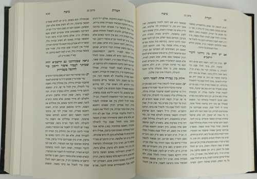 בקנה אחד חלק י' - חמדת משה