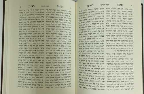 מחנה ראובן - דודאי ראובן - מנוחת שלום ג