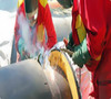 Z-2602 Zika