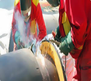 Z-2602 Zika
