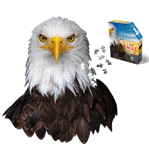I AM Eagle – ראש נשר (תמונה ראשית)