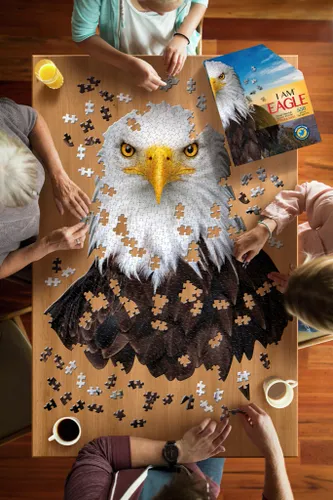 I AM Eagle – מבט נוסף על פרטים