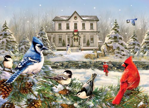 קרדינל אדום ו־Blue Jay מול בית כפרי מושלג – Country House Birds