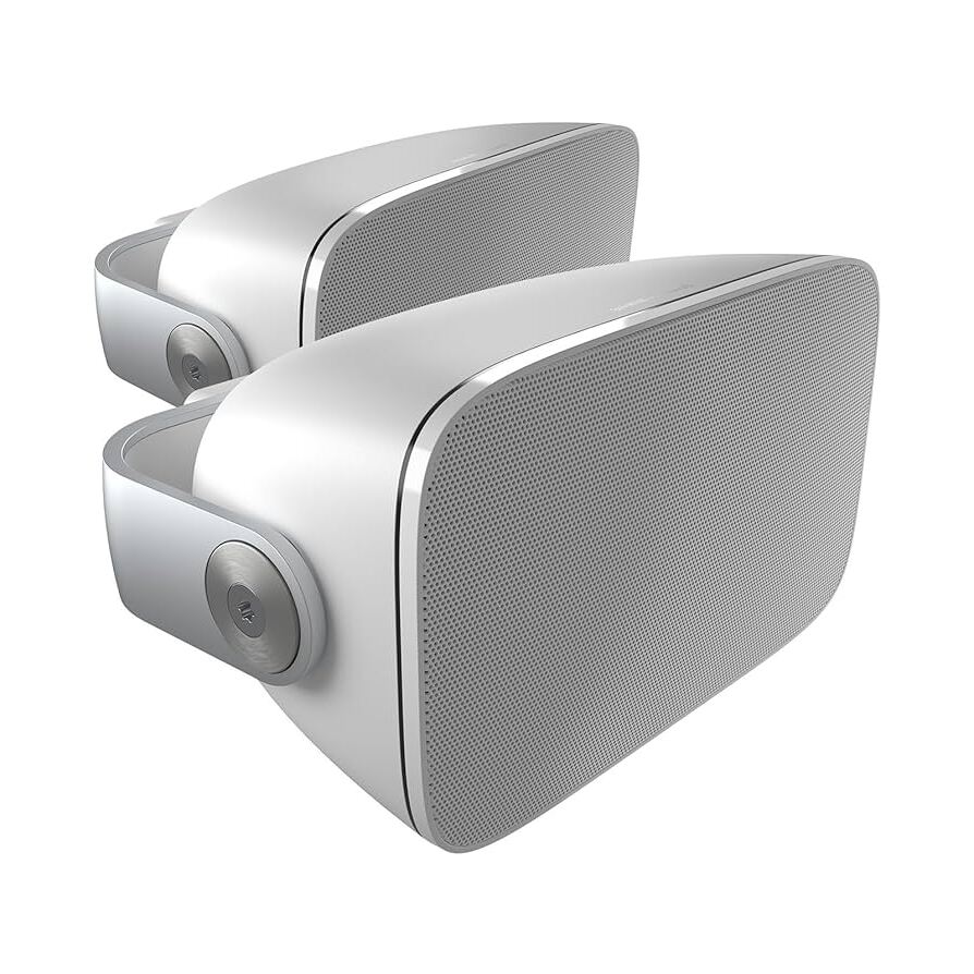 Bowers & Wilkins AM-1 Outdoor loudspeaker