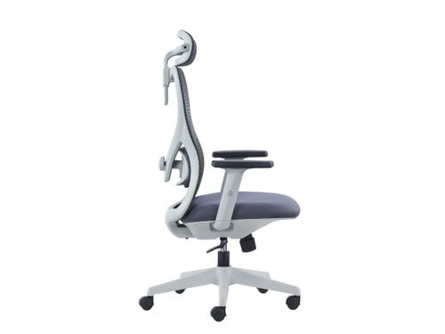 כיסא משרדי ד״ר גב HIGH SKILL
