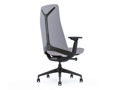 כיסא מנהלות ומנהלים ד״ר גב SENIOR