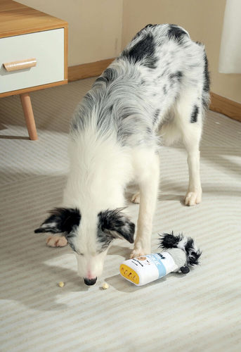 אמ פטס M-Pets פחית עוגיות פלורה להחבאת חטיפים לכלב